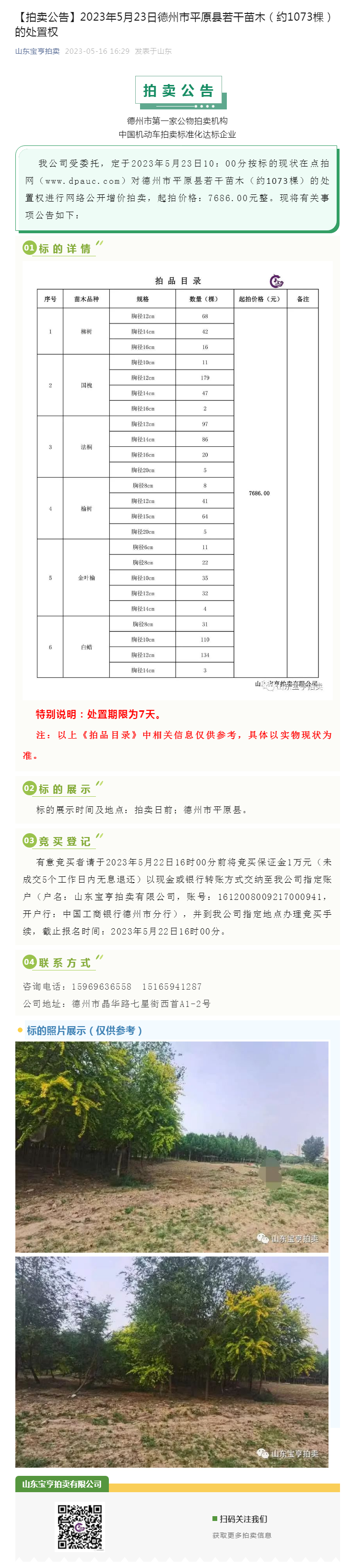 【拍賣公告】2023年5月23日德州市平原縣若干苗木（約1073棵）的處置權(quán)副本.png